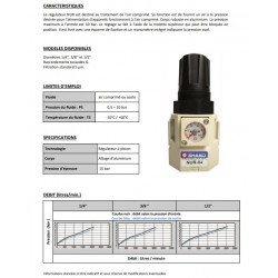 3/8\\\\\\\" 1733 - Régulateur de pression NUR
