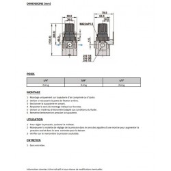 3/8\\\\\\\" 1733 - Régulateur de pression NUR